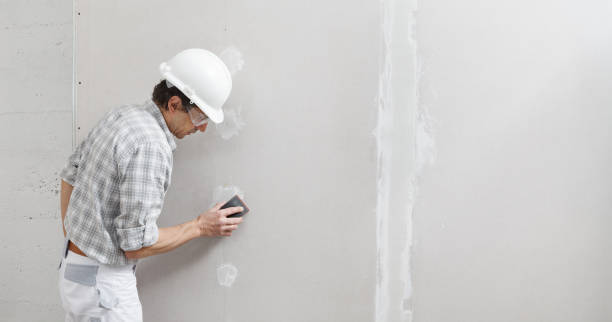 Best Mold Odor Removal Services  in Yountville, CA