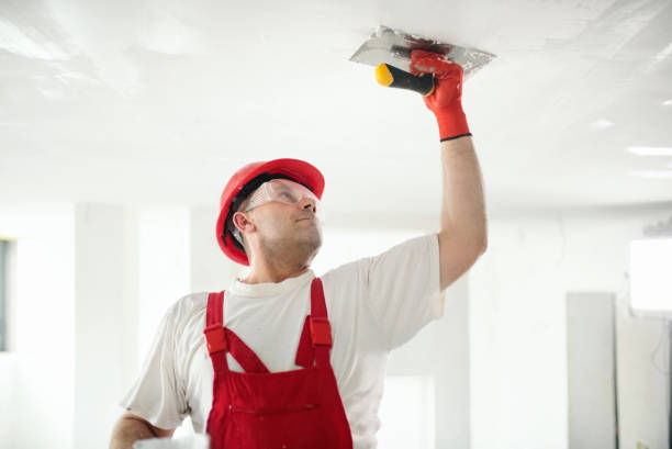 Mold Remediation for Vacation Homes in Yountville, CA
