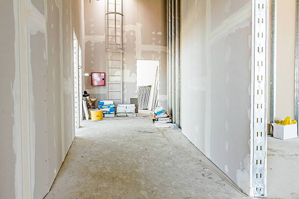 Best Black Mold Removal  in Yountville, CA